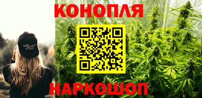 альфа пвп Новокубанск