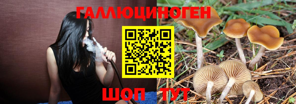 Урай  Галлюциногенные грибы мухоморы  Вход с VPN 